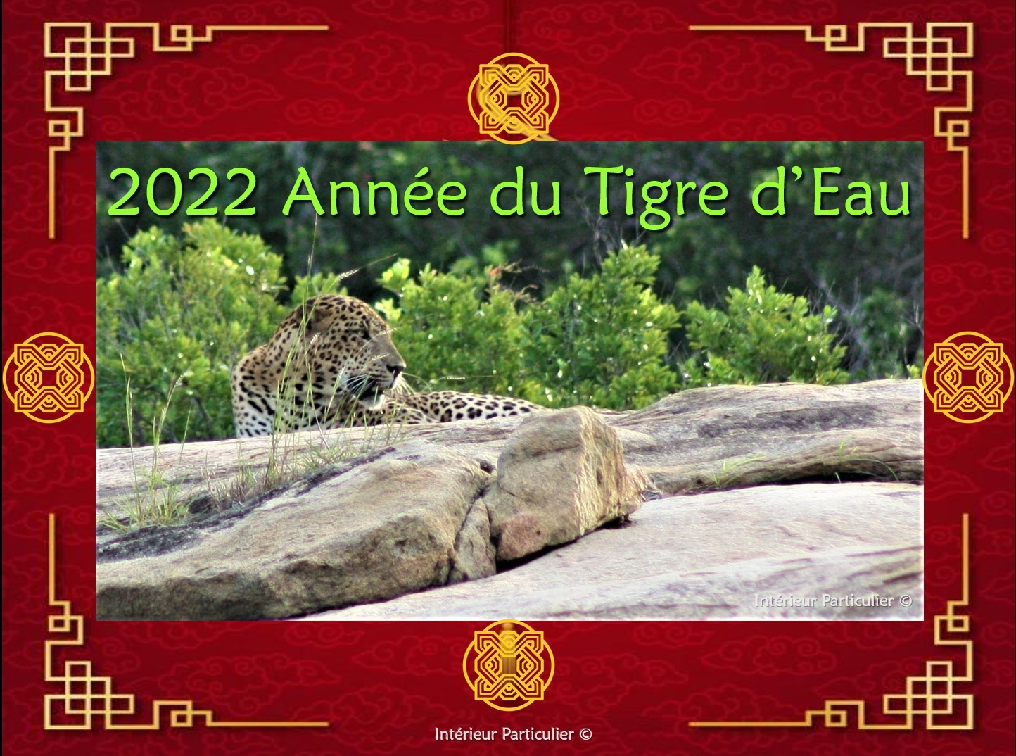 2022 Année du Tigre d'Eau